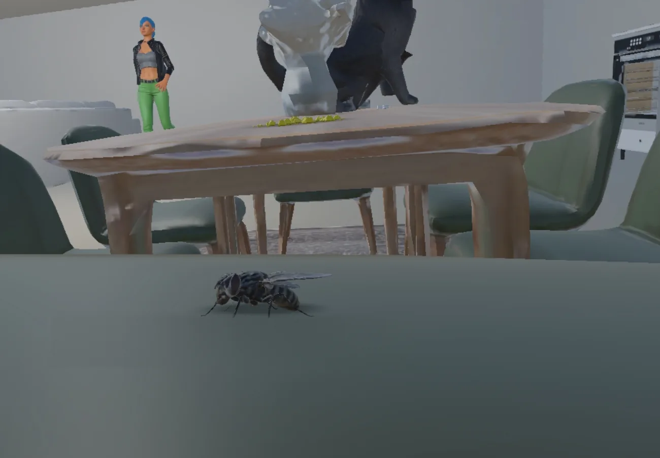 In-game view at fly height: a house fly stands on a table edge. Behind it, crumbs on a dining table, a cat and a woman standing in the room tower over it.